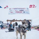 a dog that is standing in the snow