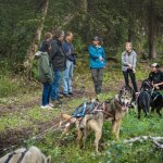 a group of people on a trail with a dog