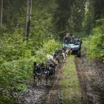 a group of people walking down a dirt road