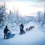 a group of people cross country skiing in the snow