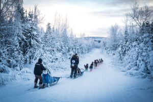 a group of people cross country skiing in the snow