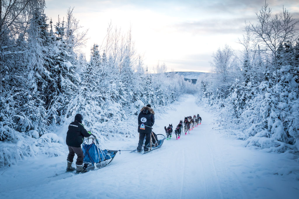 a group of people cross country skiing in the snow