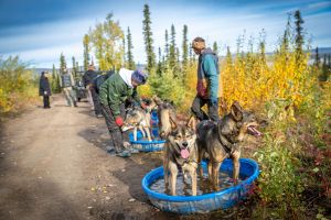 a group of people standing next to a dog