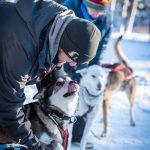 a dog sitting in the snow