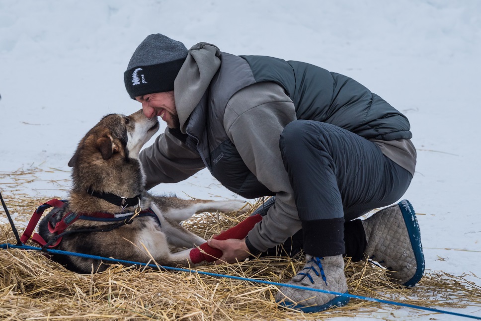 a person petting a dog wearing a hat