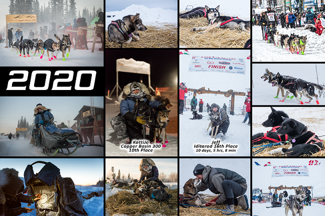 a double photo of a dog