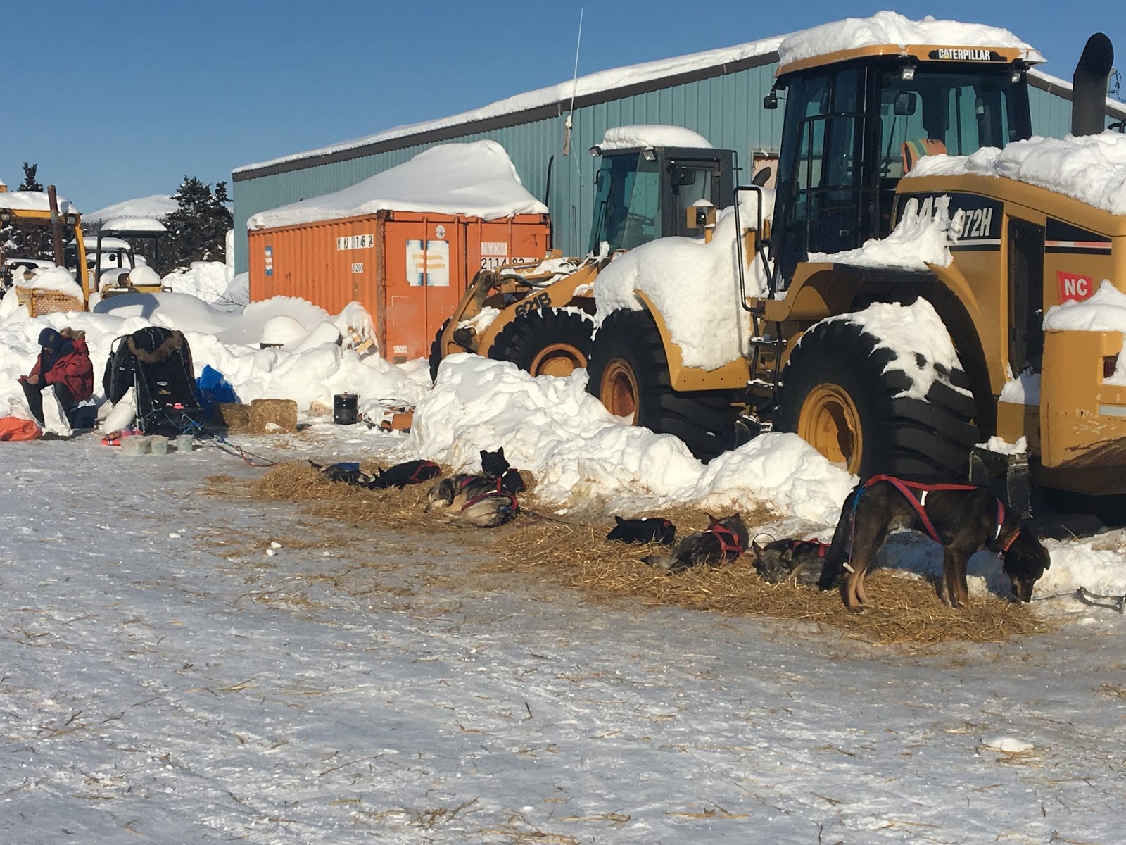 a group of sheep that are standing in the snow