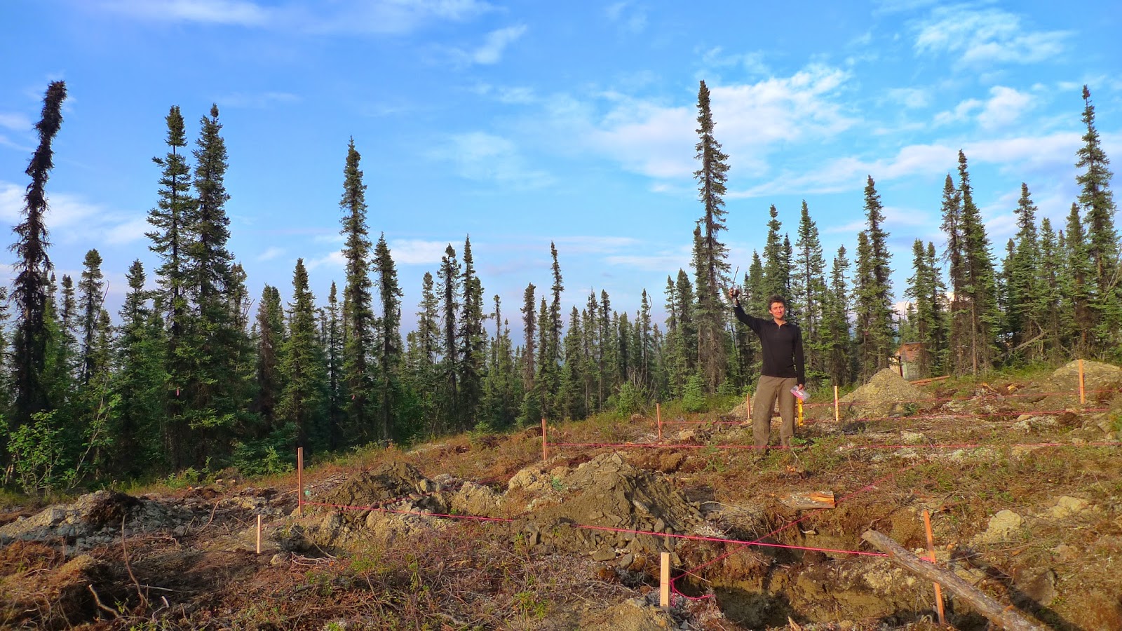 a person standing next to a forest