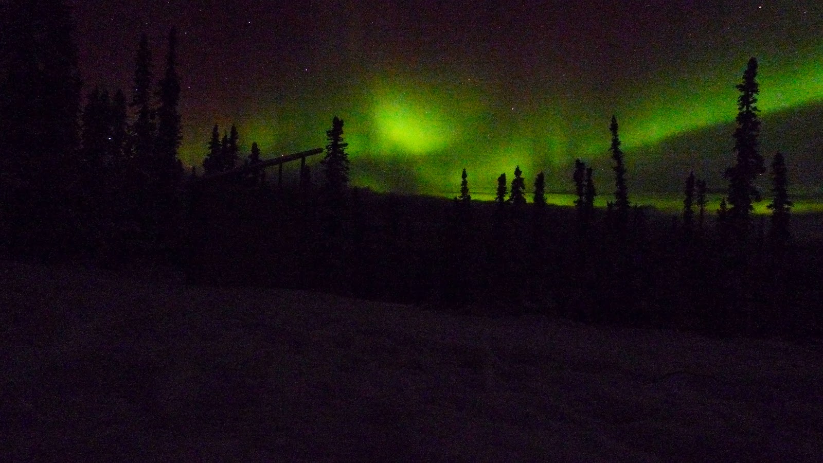 a traffic light is lit up at night