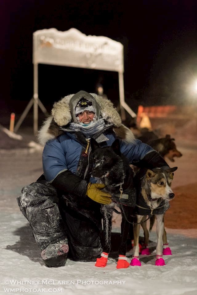 a dog wearing a costume