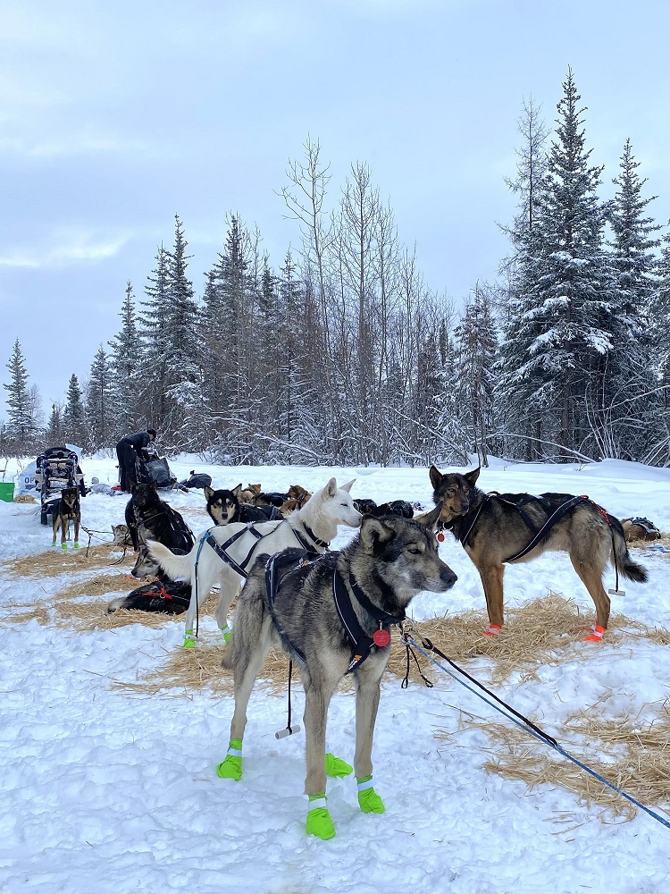 a group of people that are standing in the snow