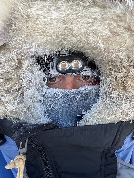 a close up of a stuffed animal