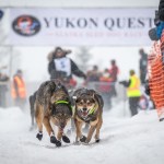 Jeff Deeter and dogs Yukon Quest start 2025