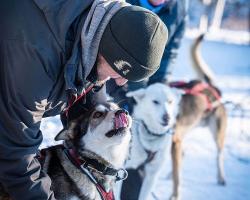 a dog sitting in the snow