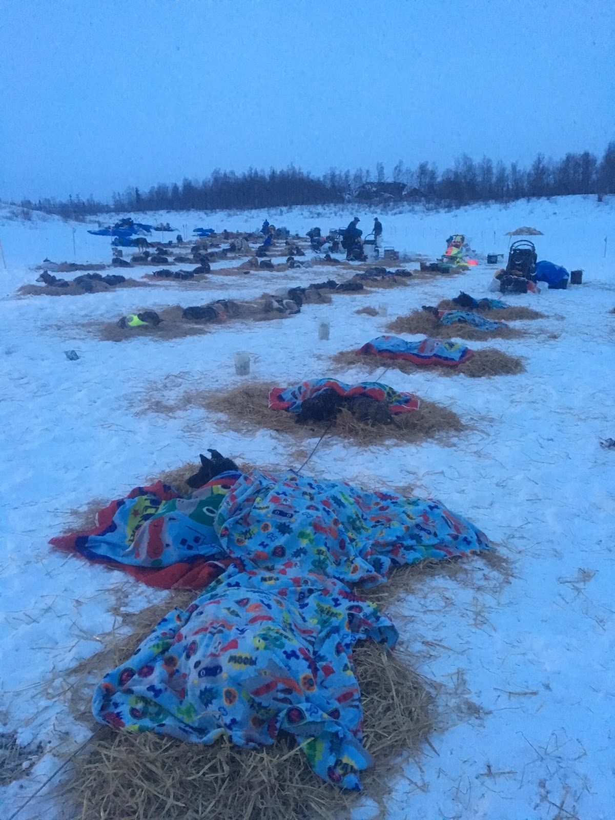 a group of people swimming in the snow