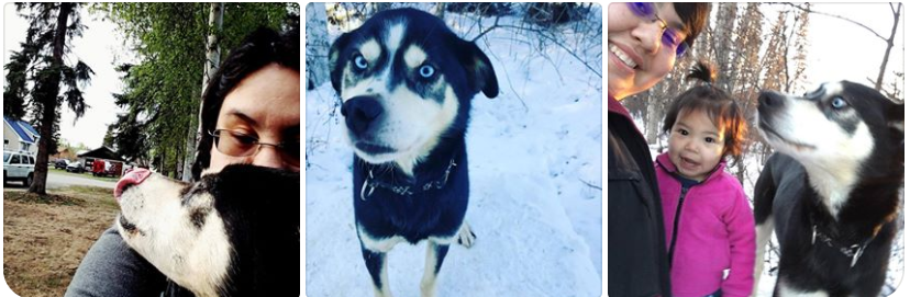 a person holding a dog posing for the camera