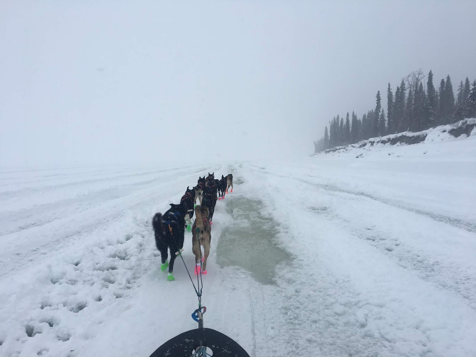 a man is cross country skiing in the snow