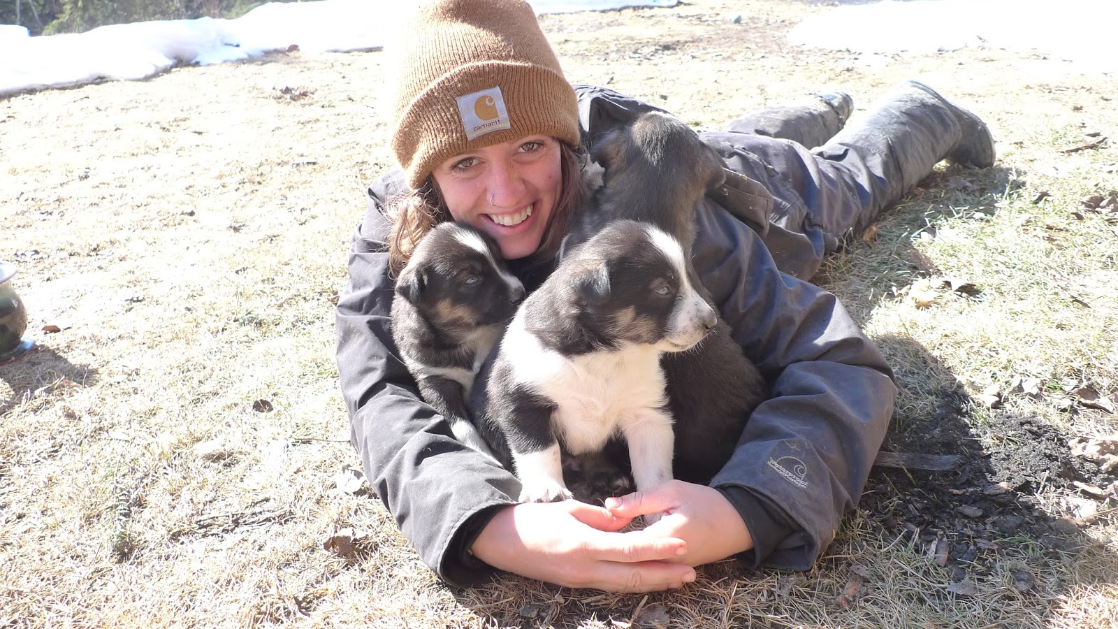 a person and a dog sitting on the ground