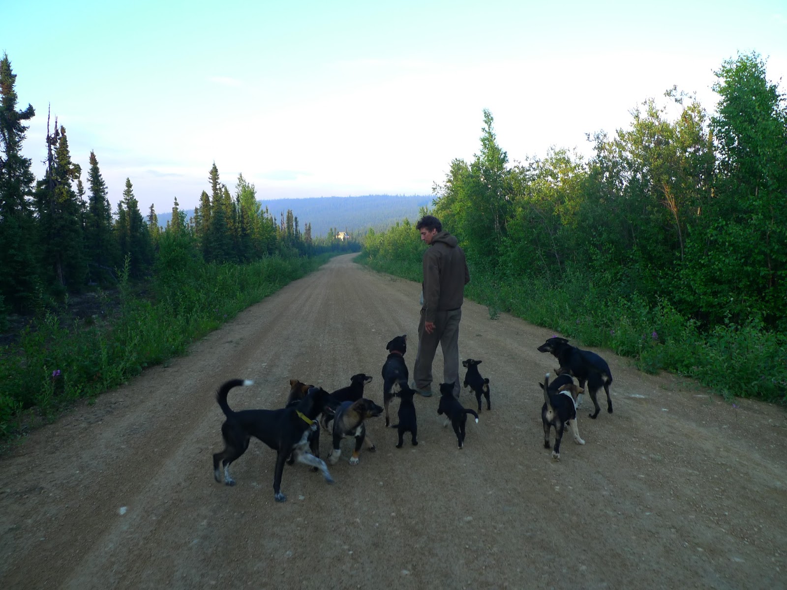 a man and a dog walking on a dirt road