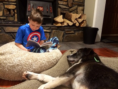 a little boy is sleeping in a dog bed